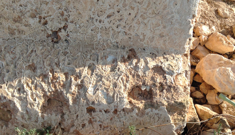 Lorem ipsum dolor sit amet