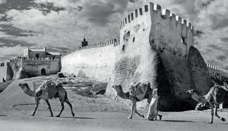 Lorem ipsum dolor sit amet