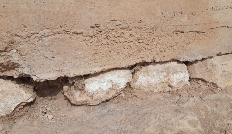 Lorem ipsum dolor sit amet